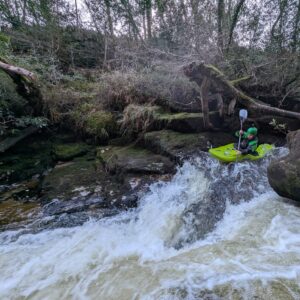 Group Coaching - Open Courses